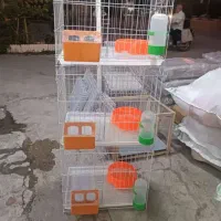 قفس کبوتری|لوازم جانبی حیوانات|برازجان, |دیوار