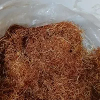 ریشه زعفران