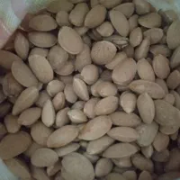 فروش بادام تلخ|عمدهفروشی|ارسنجان, |دیوار