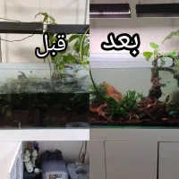 سرویس و نگهداری