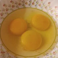 سفیده تخم مرغ و مایه تخم مرغ تازه و بهداشتی|خوردنی و آشامیدنی|فردیس, فردیس|دیوار