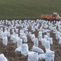 گونی اندازه ۵۰ و ۴۰ سانتی|عمدهفروشی|تهران, شهران شمالی|دیوار