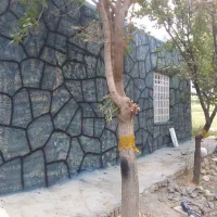 فروش باغ ویلایی کشاورزی