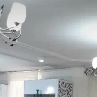 دوعددلوستر ،پنج شاخه