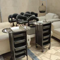 ترولی و صندلی چرمی جکدار|آرایشگاه و سالنهای زیبایی|رشت, دیانتی|دیوار