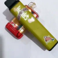 دو عدد پاد شارژی، کارکرده