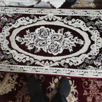 پنچ جفت پشتی