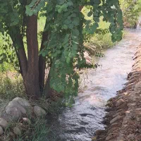 یک روز خاطره‌انگیز درباغ ونخلستان، فضای خانوادگی
