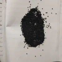 بذر پیاز ارزان برای کشاورزان زحمت کش