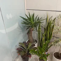 پرستار کودک و امور منزل