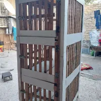 کبوتر|لوازم جانبی حیوانات|فیروزآباد (لرستان), |دیوار