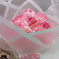 گل رز شاین دار