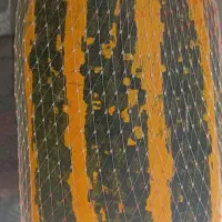 کدوی دکوراتیو خاص و کمیاب
