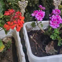 کارگر با خانواده