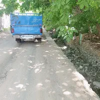نیسان دوگانه عروسک