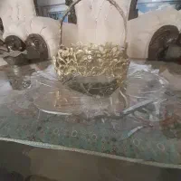 جاقاشقی برنز اصل سالم ونو