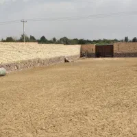 دمداری سه هزار متر ی با ۱۲۰۰متر سالن فول سند شش دا|فروش دفتر صنعتی، کشاورزی، تجاری|مشهد, درزآب|دیوار
