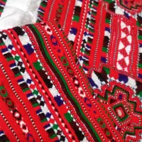 زیاستین دمن دوچ