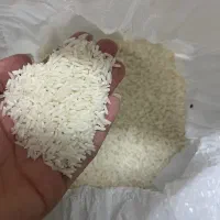 برنج طارم اصل شمال|خوردنی و آشامیدنی|تهران, نظامی گنجوی (توانیر)|دیوار