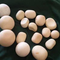 سنگ های جواهری|جواهرات|تهران, ولنجک|دیوار