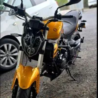 بنلی۳۰۰ طلایی