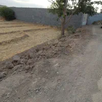 اجاره یا شراکت  110 جریب زمین ابی وباغی در شلمزار|اجارهٔ دفتر صنعتی، کشاورزی، تجاری|کیار, |دیوار