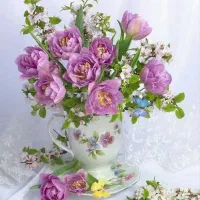 شرکت خدماتی آرامیس/سالمند،کودک،امورمنزل،تنظیفات