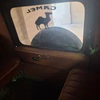 جیپ صحرا big موتور بزرگ ۲۷۰۰|خودرو سواری و وانت|رودهن, |دیوار