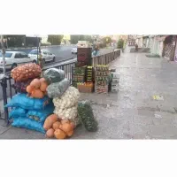 پخش میوه