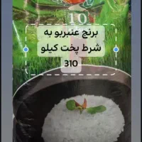 برنج عنبر بو