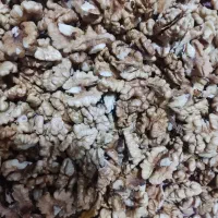 گردو تازه|خوردنی و آشامیدنی|قم, باجک دو|دیوار