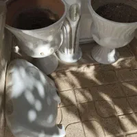 روشوئی سالم و تمیز قیمت 500