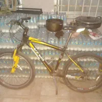 دوچرخه ویوا اصلی