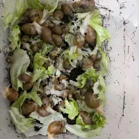 حلزون خانگی پرورشی