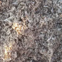 خوراک دام|عمدهفروشی|مهدی شهر, |دیوار