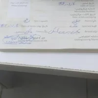 دو عدد سگ میکس سیبرین هاسکی نر|سگ|کرج, شهرک نهال و بذر|دیوار