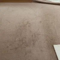 پالاز موکت
