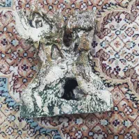 آکواریوم و وسایل|ماهی|گناباد, |دیوار