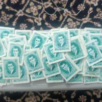 تمر دوره شاه