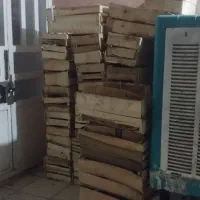 جعبه چوبی انگور|عمده‌فروشی|رضویه, |دیوار