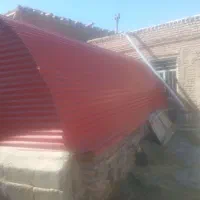 کانکس حیوانی