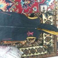 مدیوم
