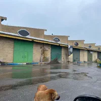 سوله اجاره ایی۲۲۵متر شهرک صنعتی منطقه ازاد انزلی|اجارهٔ دفتر صنعتی، کشاورزی، تجاری|بندر انزلی, لیچارگی حسن رود|دیوار