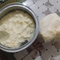 کره گاوی