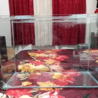 شیشه اکواریوم ۱۲۰ لبتری شیشه خم|ماهی|نوشهر, |دیوار