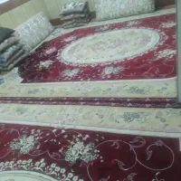 فرش ها در حد نو|فرش|دزفول, |دیوار