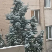 حراست مجتمع مسکونی