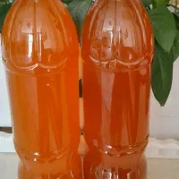 ابغوره خانگی و رب گوجه