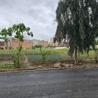 زمین ۱۵۴متری ۱/۹۵۰ میلیارد|فروش زمین و ملک کلنگی|گنبد کاووس, |دیوار