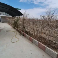 فروش باغ فول امکانات|فروش دفتر صنعتی، کشاورزی، تجاری|بیرجند, |دیوار